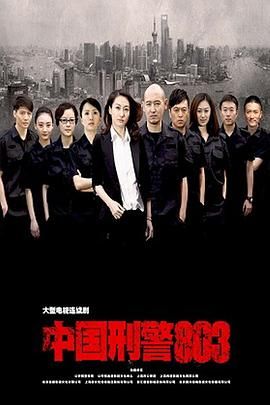 中国刑警803 2014 电视剧 海报