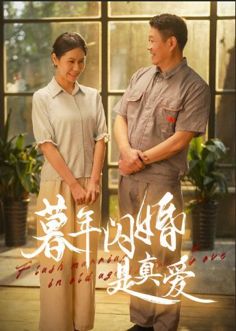 暮年闪婚是真爱 2024 短剧 海报