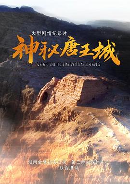 神秘唐王城 2023 纪录片 海报