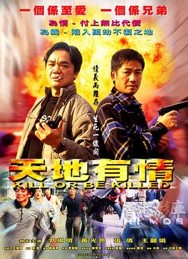 天地有情 2002 电影 海报