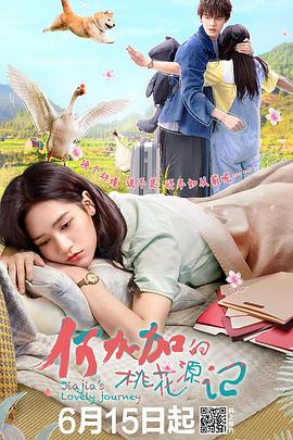 何加加的桃花源记 2022 电视剧 海报