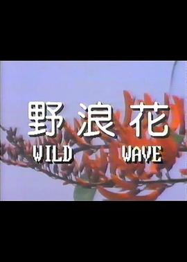 野浪花 1987 电影 海报