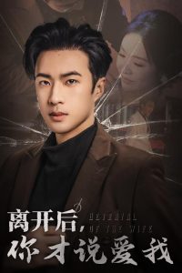 离开后你才说爱我 2025 短剧 海报