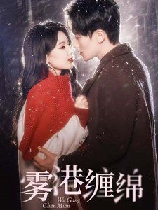 雾港缠绵 2025 短剧 海报