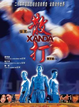 散打 2004 电影 海报