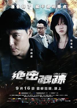 绝密跟踪（国语版） 2013 电影 海报