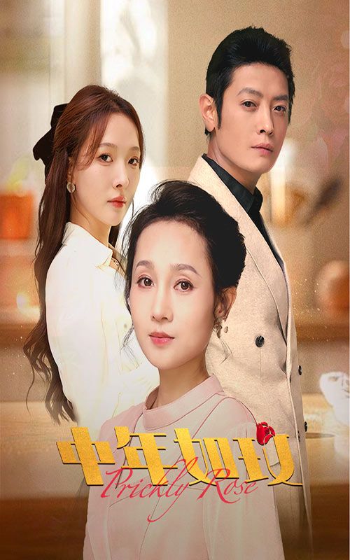 中年如玫 2024 短剧 海报