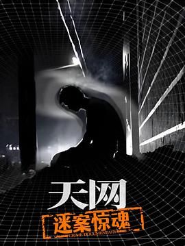 天网：迷案惊魂 2025 纪录片 海报