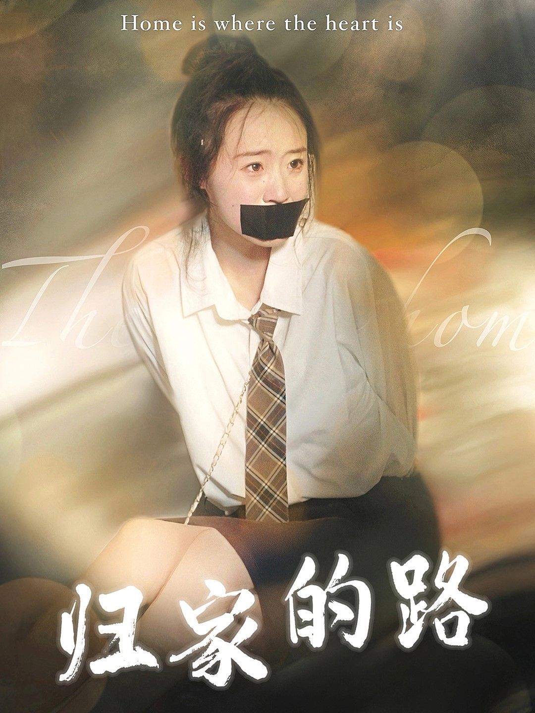归家的路 2024 短剧 海报