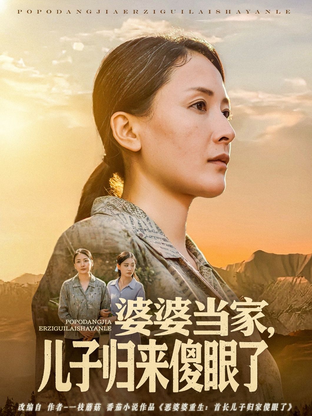 婆婆当家儿子归来傻眼了 2025 短剧 海报
