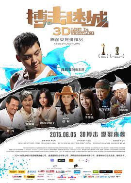 搏击迷城 2015 电影 海报