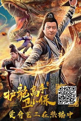 护龙高手卫小保 2018 电影 海报