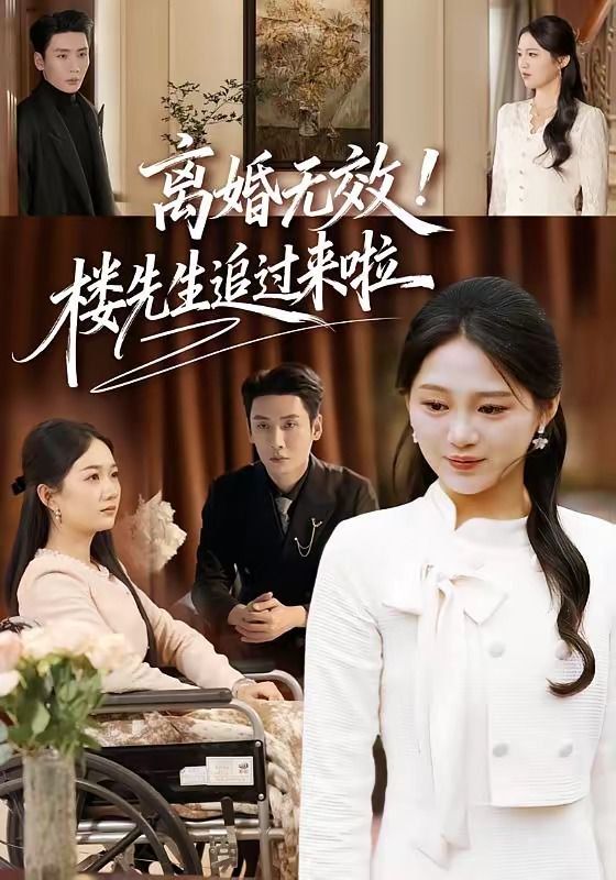 离婚无效！楼先生追过来啦 2026 短剧 海报