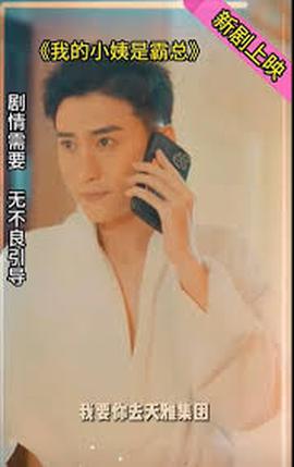 我的小姨是霸总 2025 短剧 海报
