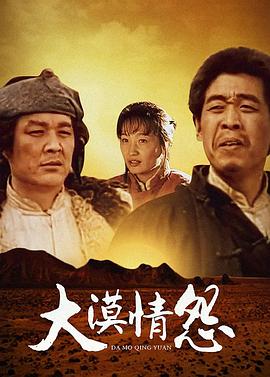 大漠情怨 2008 电视剧 海报