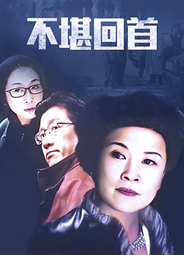 不堪回首 2004 电视剧 海报