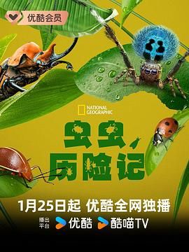 虫虫历险记 2024 纪录片 海报