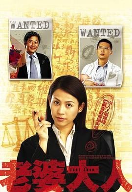老婆大人 粤语版 2005 电视剧 海报