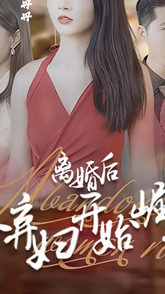 离婚后，从弃妇开始崛起 2023 短剧 海报