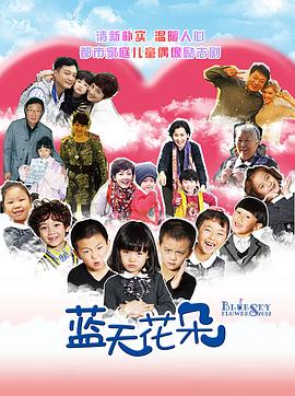 蓝天花朵 2012 电视剧 海报