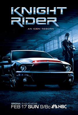 霹雳游侠2008电影版 2008 电影 海报