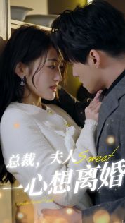 总裁，夫人一心想离婚 2024 短剧 海报