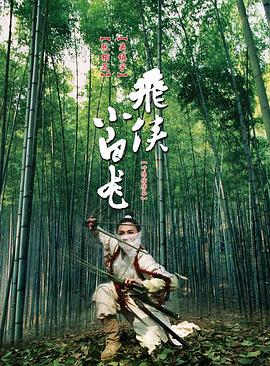 飞侠小白龙（国语版） 2004 电影 海报
