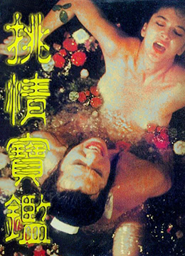 素女经之挑情宝鉴 1992 电影 海报