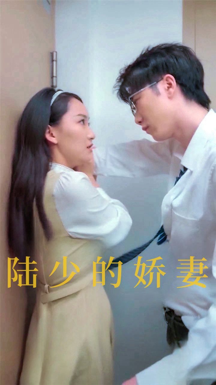 陆少的娇妻 2024 短剧 海报