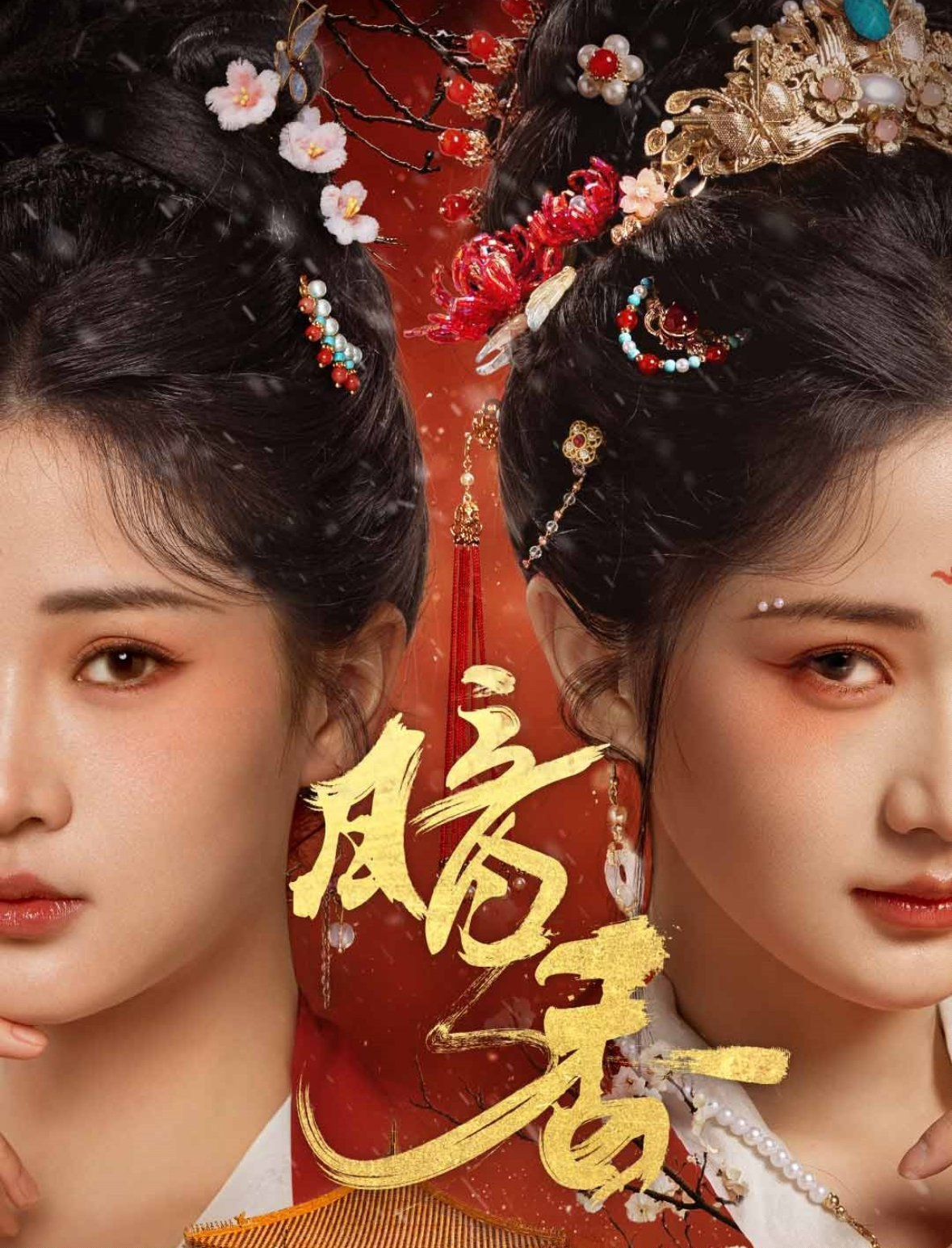 暗香 2025 短剧 海报