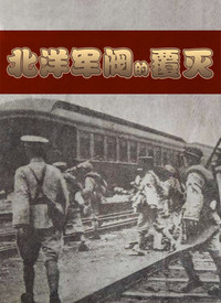 北洋军阀的覆灭 2020 纪录片 海报