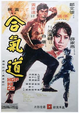 合气道 1972 电影 海报