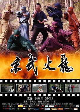 京武火龙 2018 电影 海报