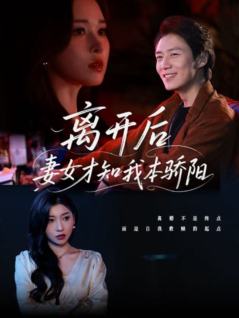 离开后妻女才知我本骄阳 2025 短剧 海报