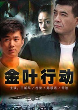 金叶行动 2006 电视剧 海报