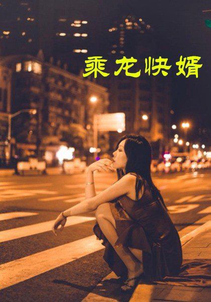 乘龙快婿 2025 短剧 海报