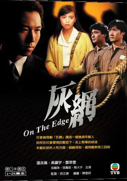 灰网 1991 电视剧 海报
