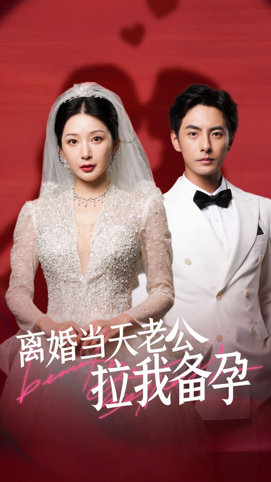 离婚当天老公拉我备孕 2024 短剧 海报