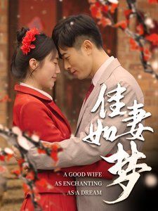 佳妻如梦 2025 短剧 海报