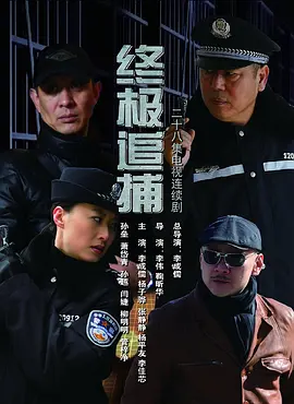 终极追捕 2014 电视剧 海报