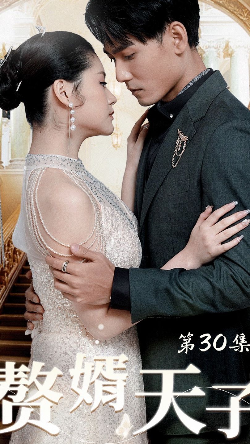 赘婿天子 2023 短剧 海报