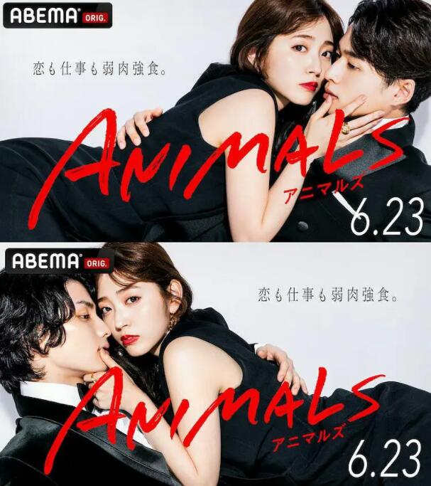 ANIMALS 2022 电视剧 海报