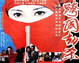 跨国劫杀 1995 电影 海报