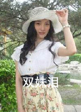 双姝泪 2011 电影 海报