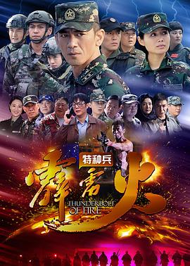 特种兵之霹雳火 2016 电视剧 海报