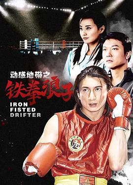 铁拳浪子 2004 电视剧 海报