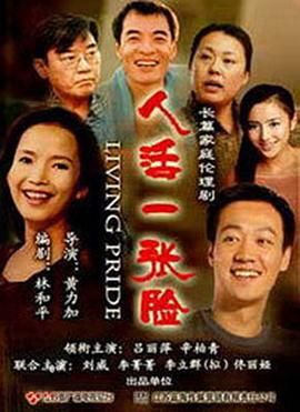 人活一张脸 2008 电视剧 海报