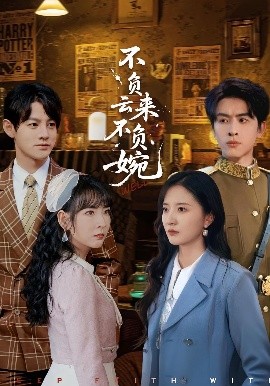 不负云来不负婉 2025 短剧 海报
