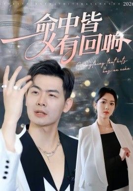 命中皆有回响 2026 短剧 海报