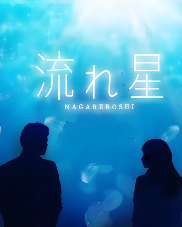 流星 2010 电视剧 海报